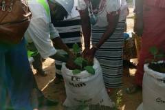 20225-07-17-Formation_Biofertilisants-05