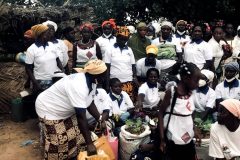 20225-07-17-Formation_Biofertilisants-09