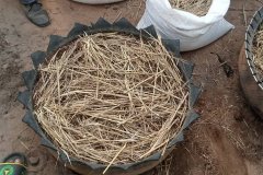 20225-07-17-Formation_Biofertilisants-19
