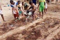 2025-07-17-Oseille_EcoleB-10